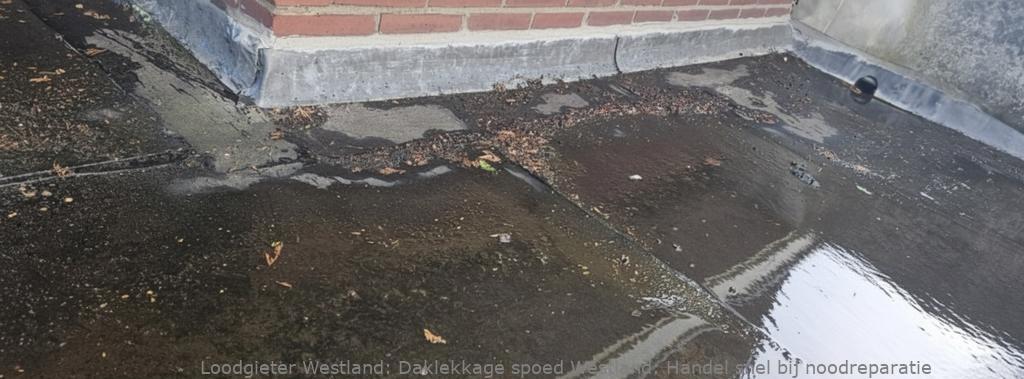 Daklekkage Spoed Westland