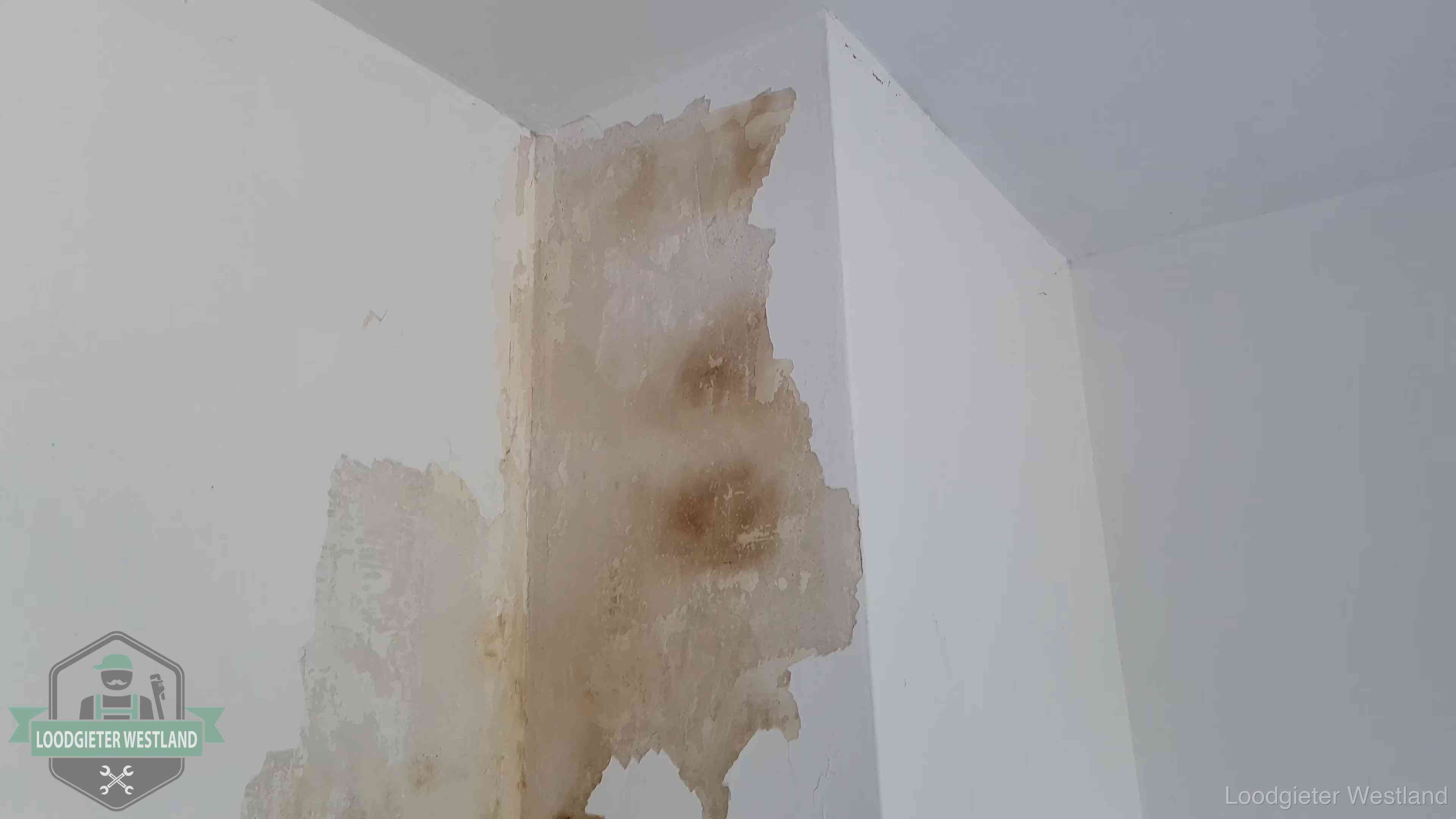 Daklekkage herkennen in Westland Bruine vochtkringen en afbladderend stucwerk op een binnenmuur in Westland, een eerste teken van daklekkage