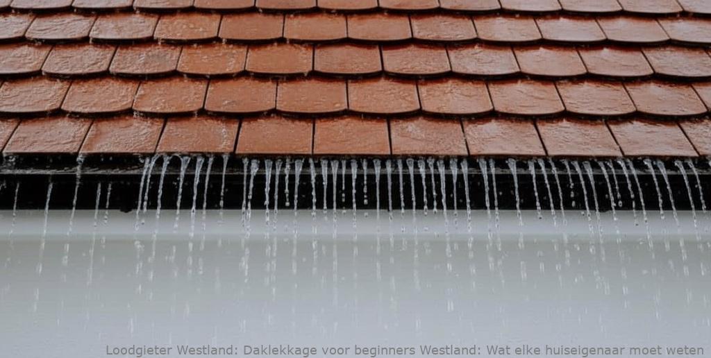 Daklekkage Voor Beginners Westland