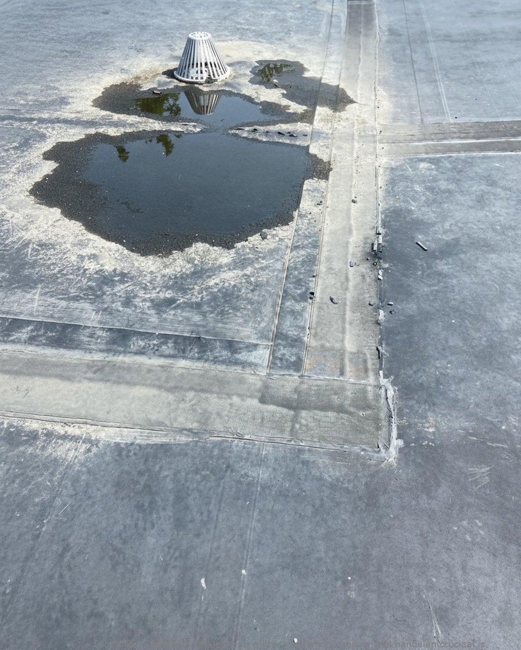 Daklekkage Winter Westland