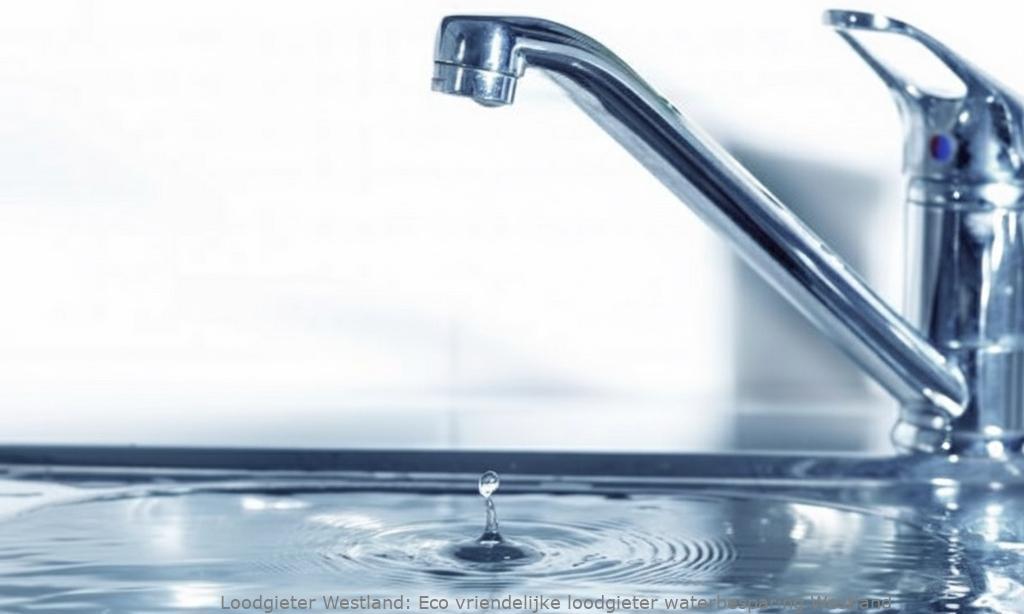 Eco Vriendelijke Loodgieter Waterbesparing Westland