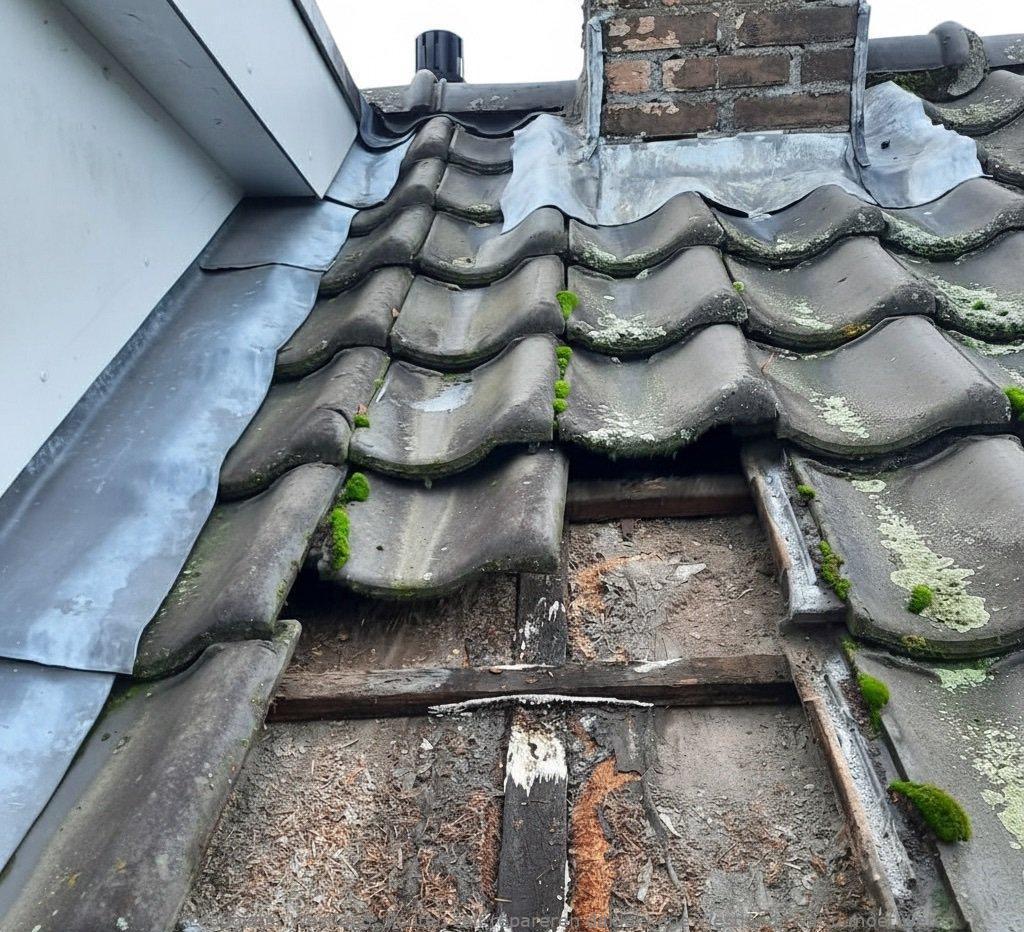 Fouten Zelf Repareren Daklekkage Westland