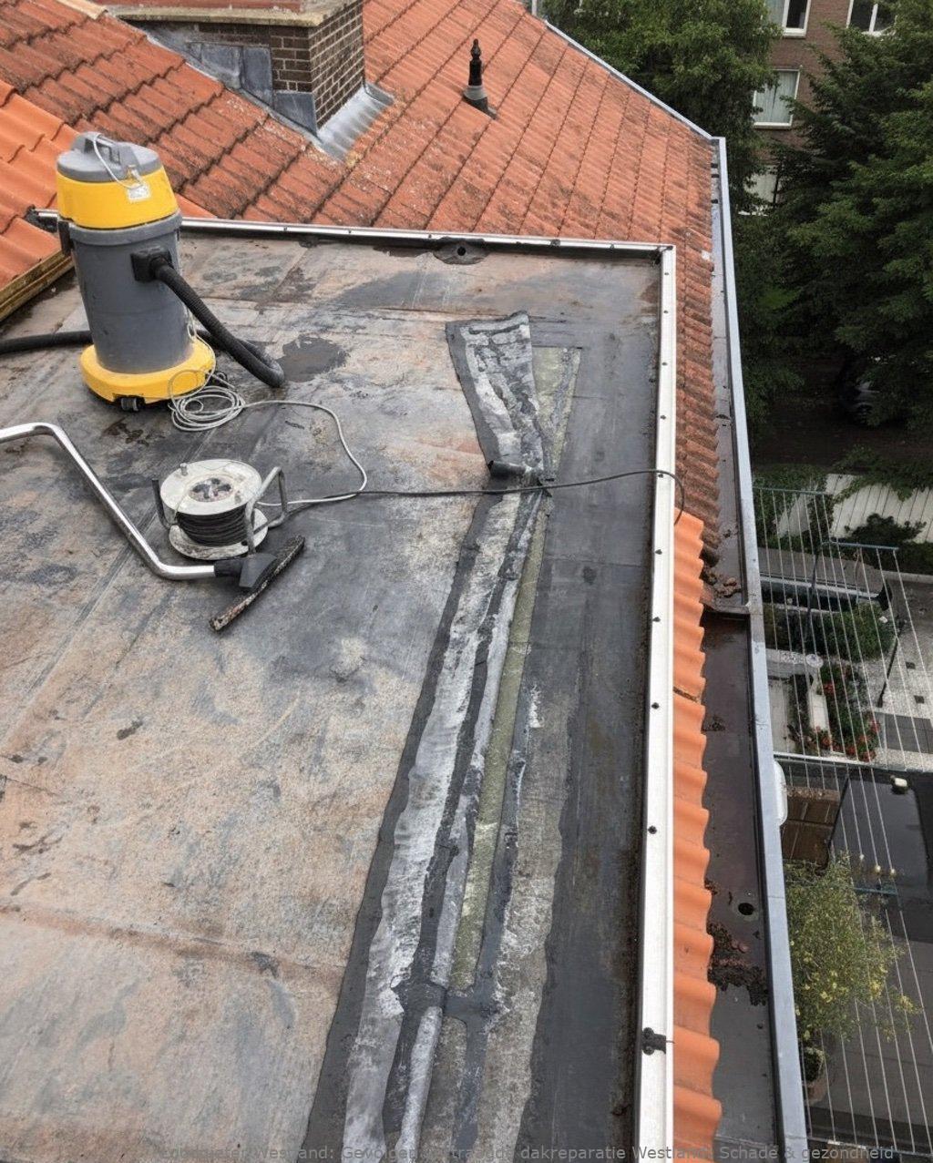 Gevolgen Vertraagde Dakreparatie Westland