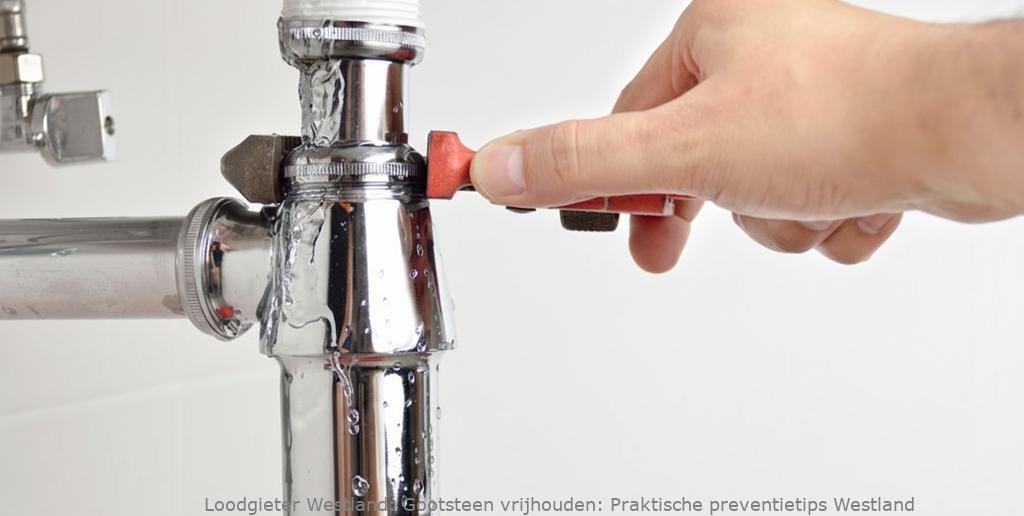 Gootsteen Preventietips Verstopping Westland