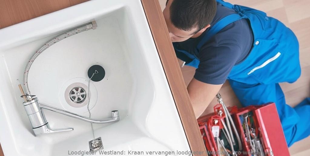 Kraan Vervangen Loodgieter Westland