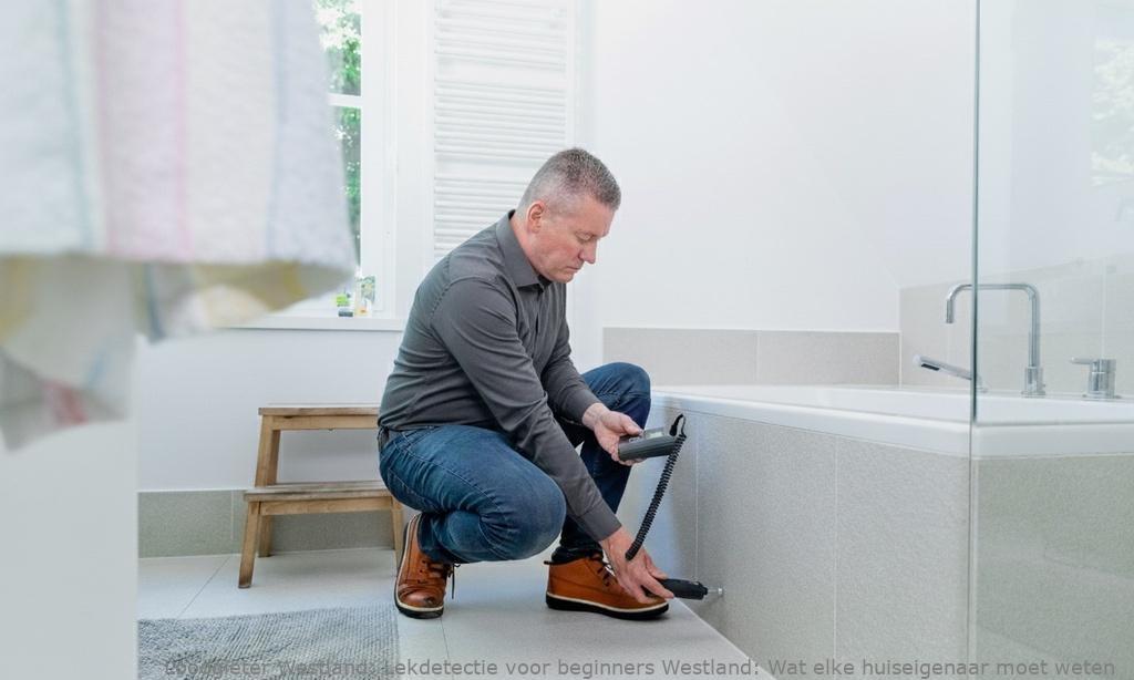 Lekdetectie Voor Beginners Westland
