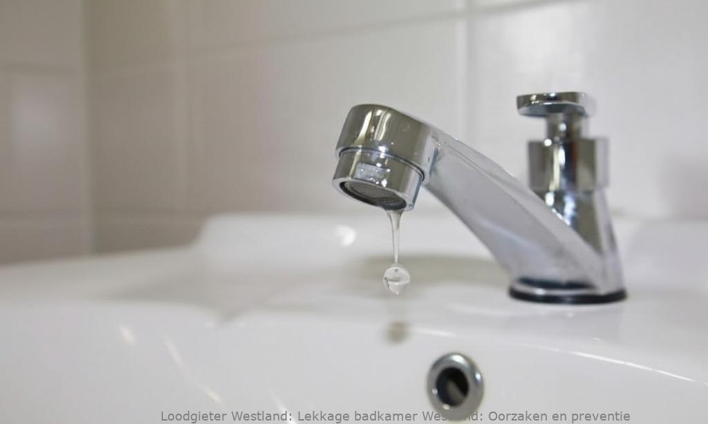 Lekkage Badkamer Westland