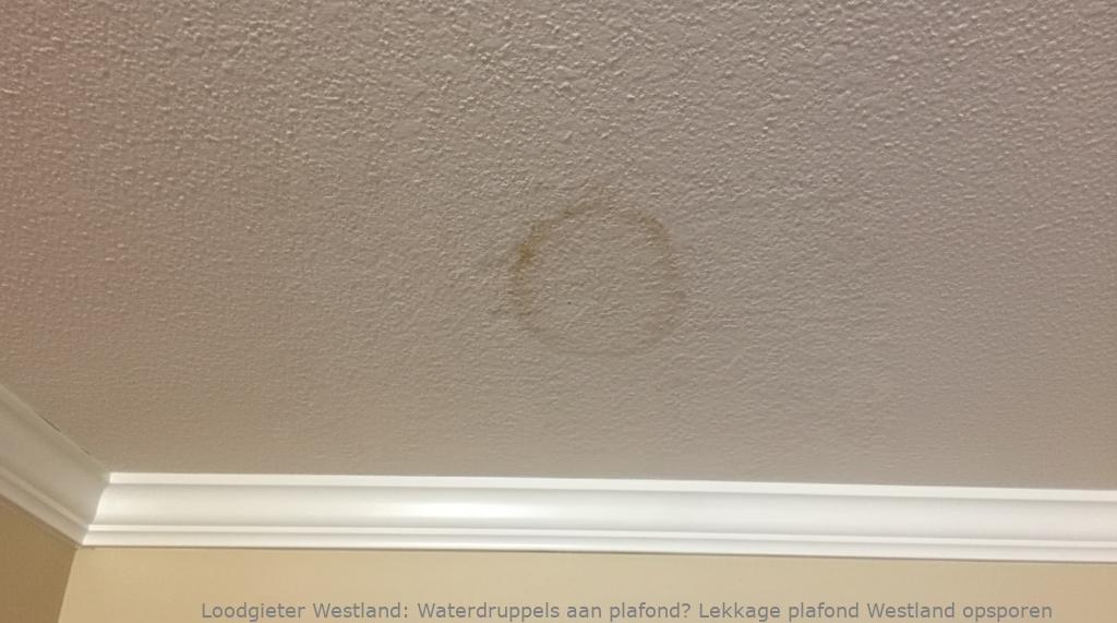 Lekkage Plafond Westland