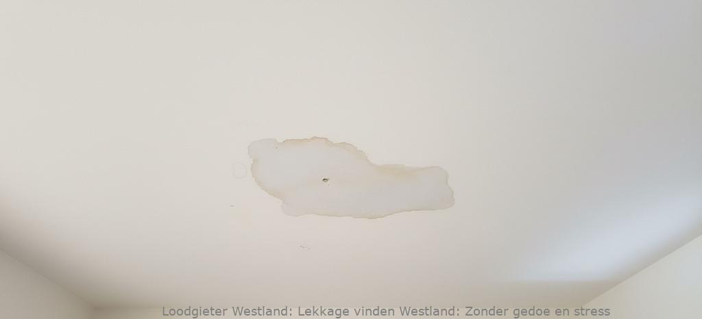 Lekkage Vinden Westland