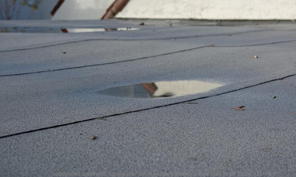 Loodgieter Daklekkage Westland