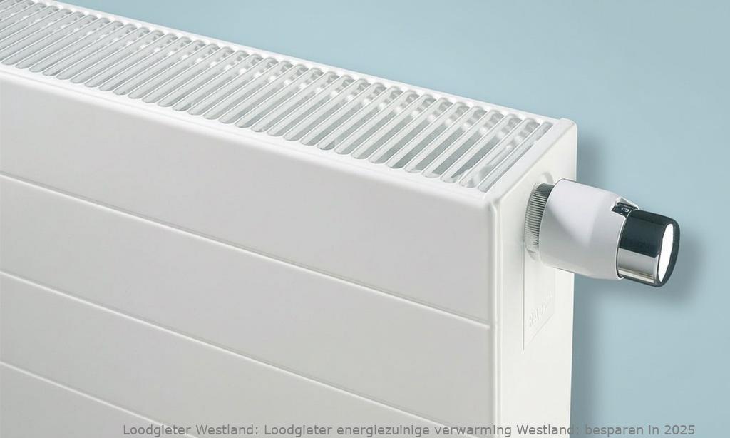 Loodgieter Energiezuinige Verwarming Westland