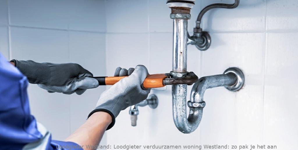 Loodgieter Verduurzamen Woning Westland