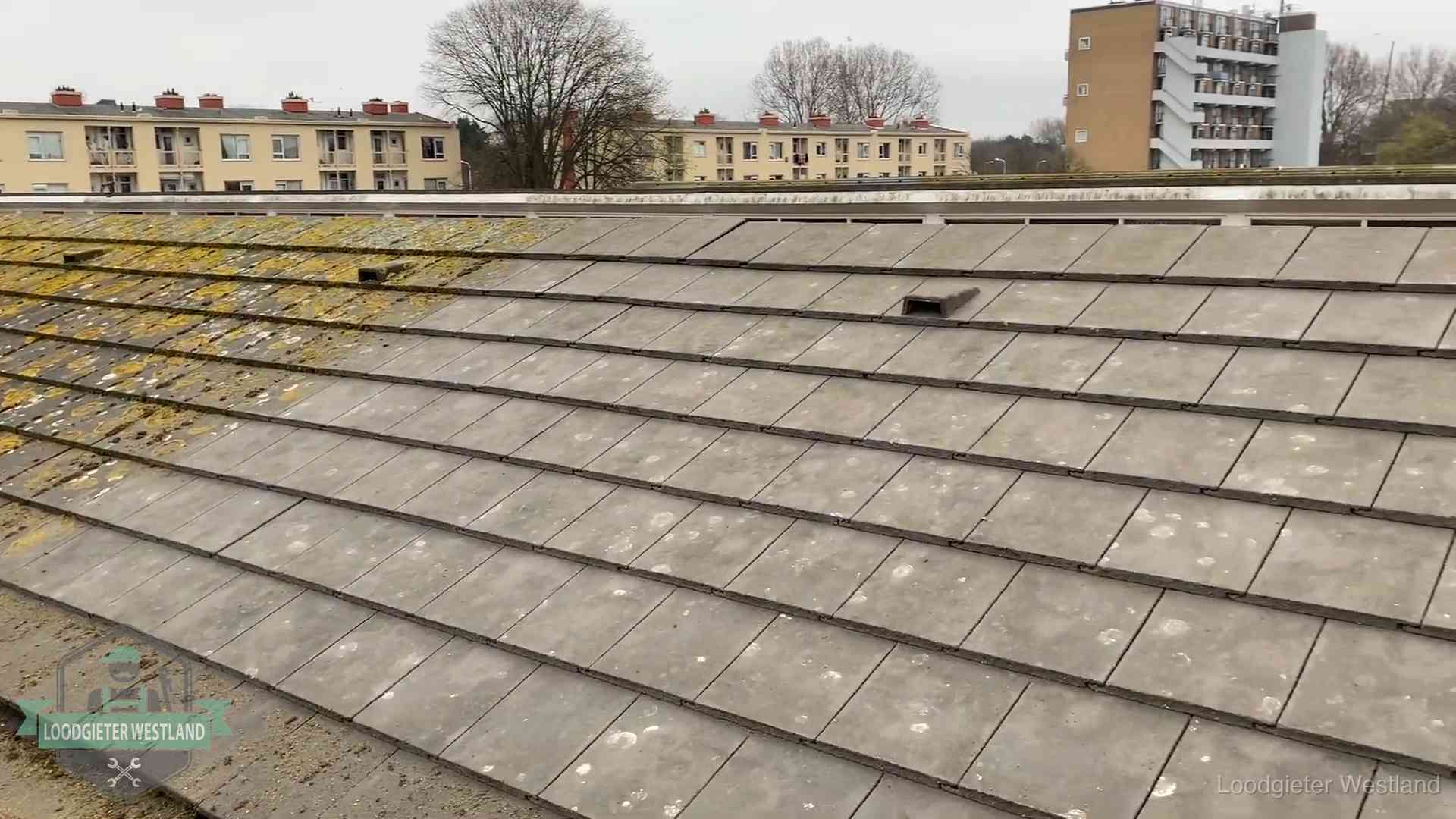 Dakpannen op een schuin dak in Westland Schuin dak met betonpannen vol mos in Westland, een risico op lekkage bij de pannen