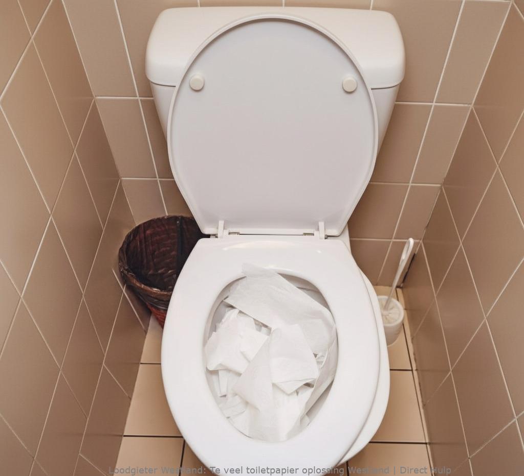 Te Veel Toiletpapier Oplossing Westland