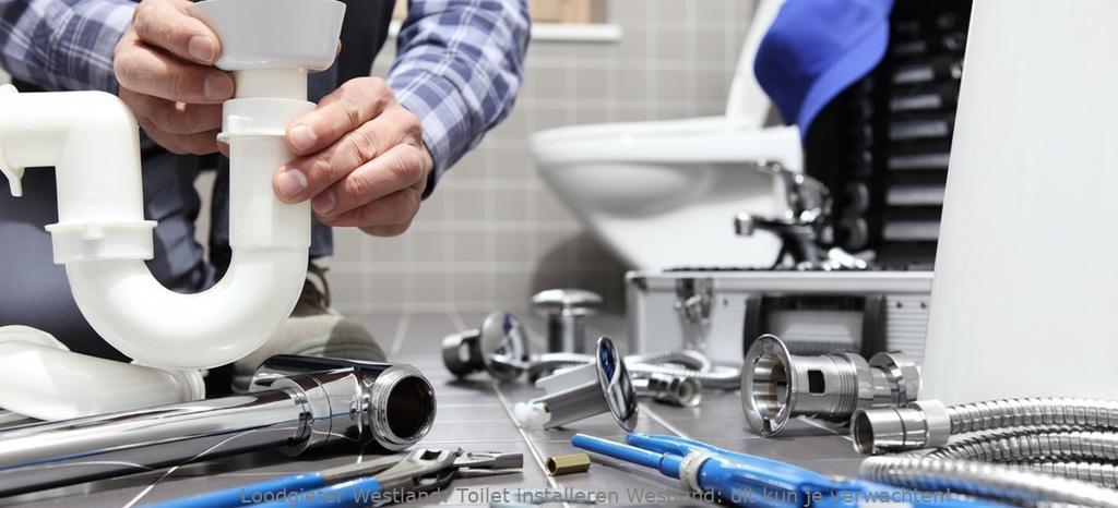 Toilet Installeren Westland
