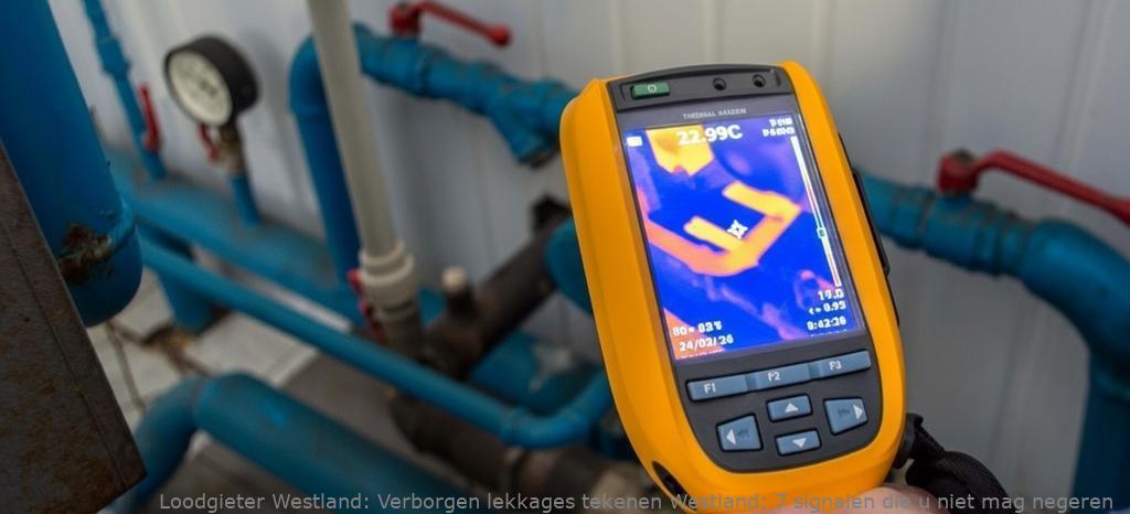 Verborgen Lekkages Tekenen Westland
