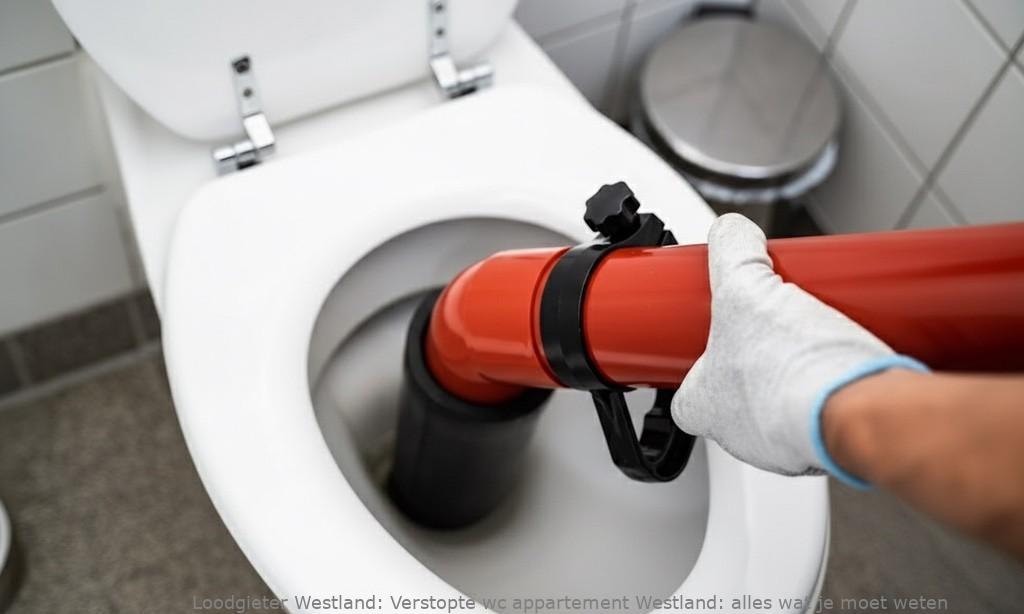 Verstopte Wc Appartement Westland