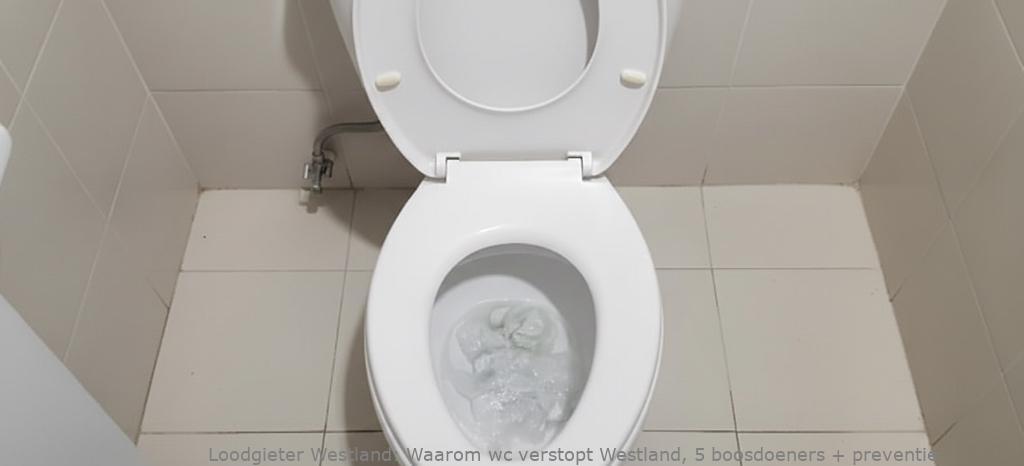 Waarom Wc Verstopt Westland