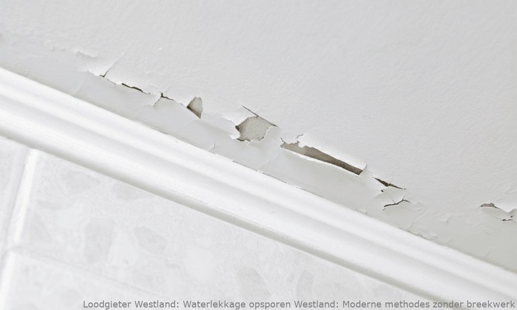 Waterlekkage Opsporen Westland