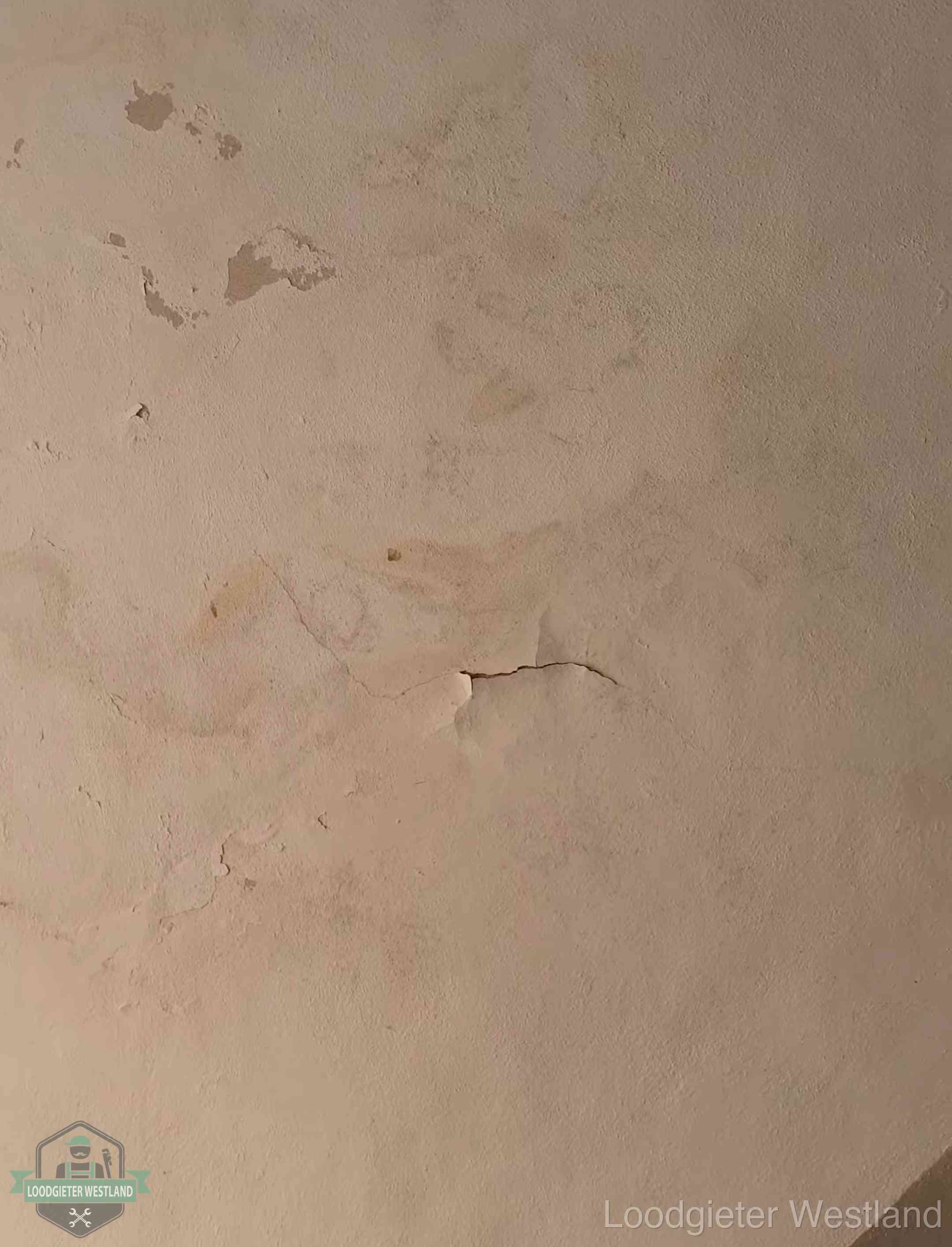 Vochtkringen en afbladderende verf op een plafond in Westland, schade voor het meetrapport en de verzekering