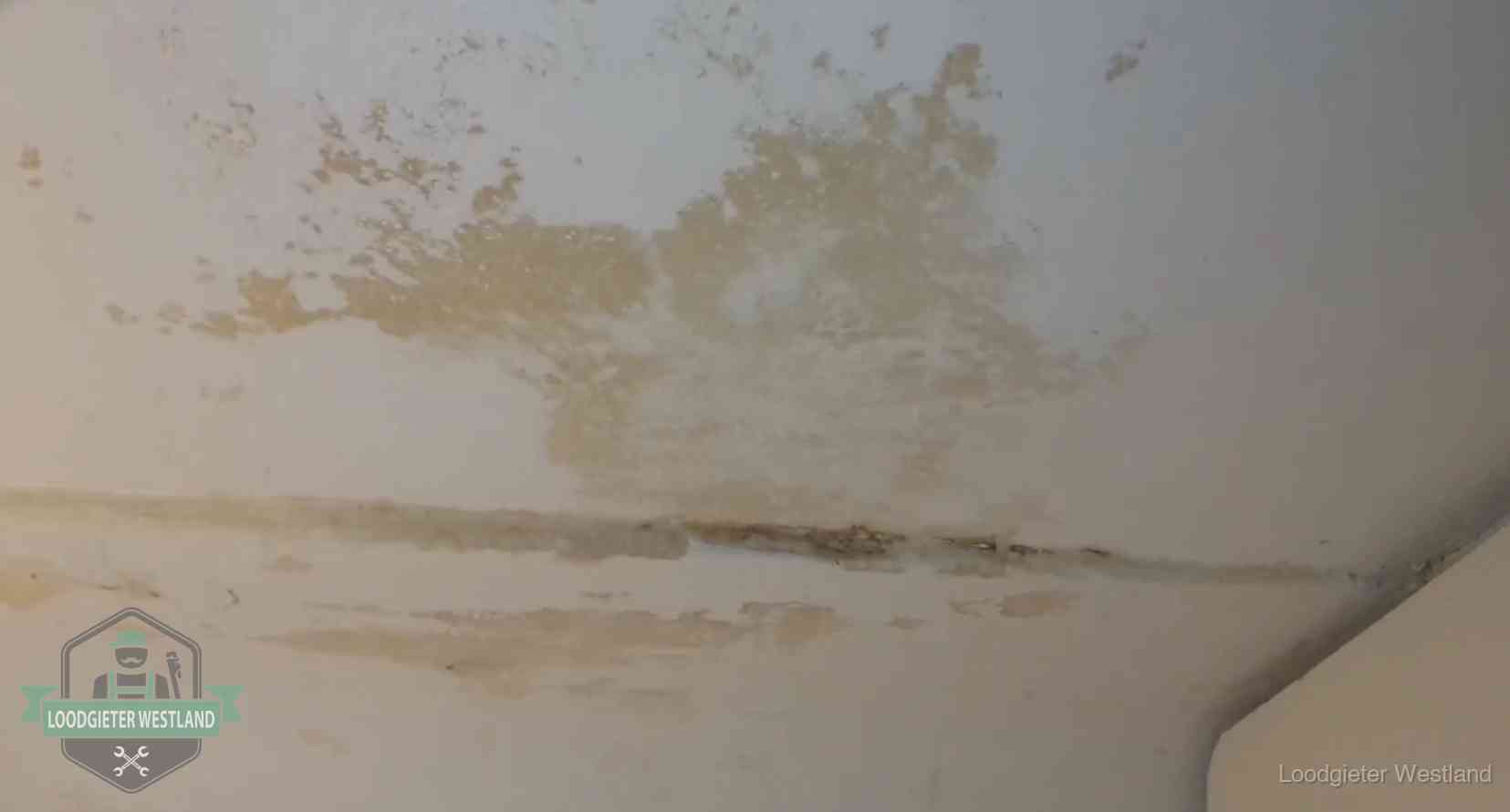 Verzekering bij rioolschade in Westland Watervlekken op een plafond in Westland, schade die je bij de verzekering meldt