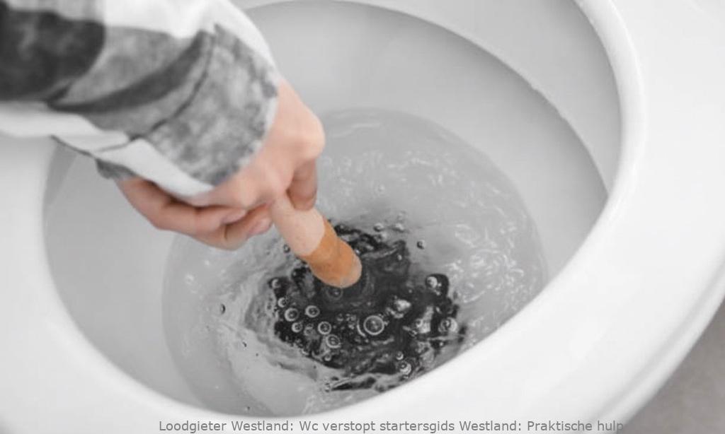 Wc Verstopt Startersgids Westland