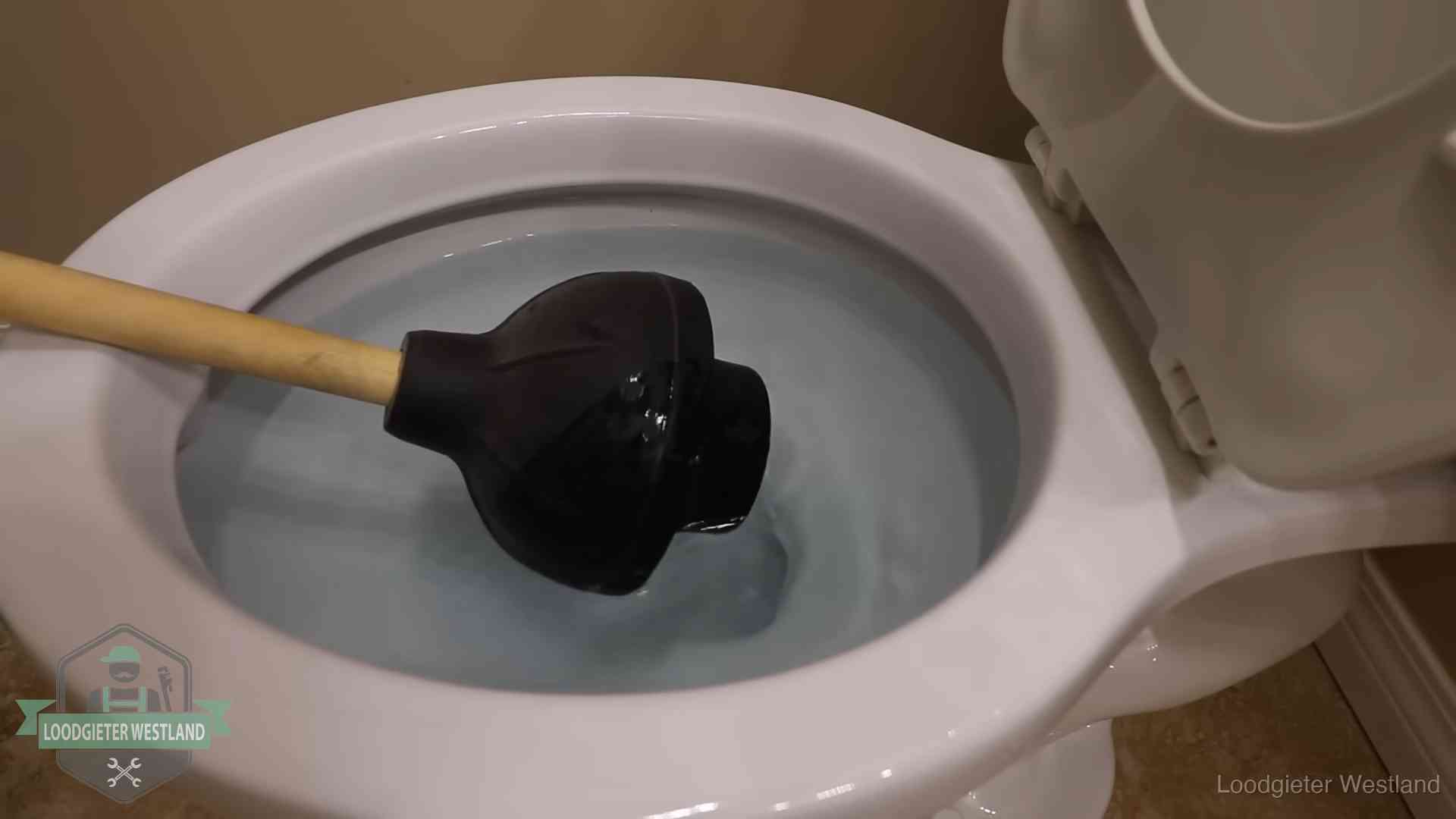 Wc vol water in Westland Plopper in een wc-pot die vol water staat in Westland